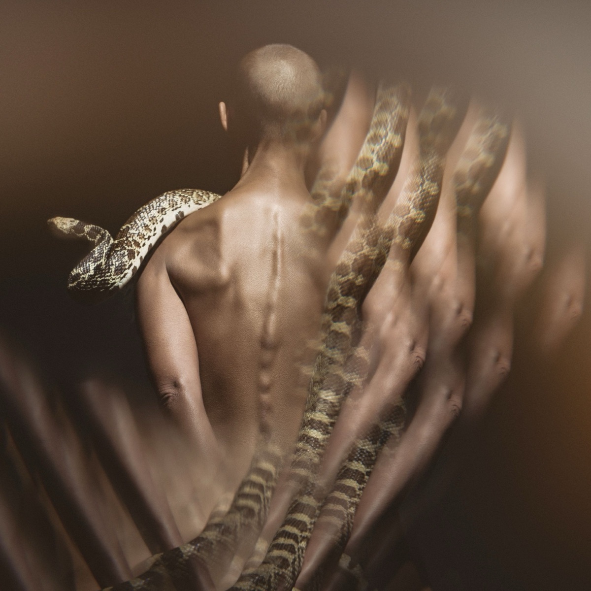 Sculptural fashion portrait with a snake